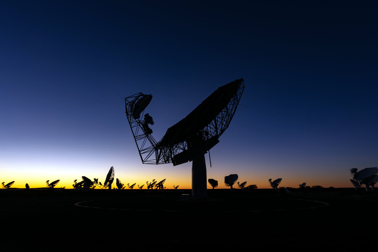 MeerKAT dishes at night (archive)