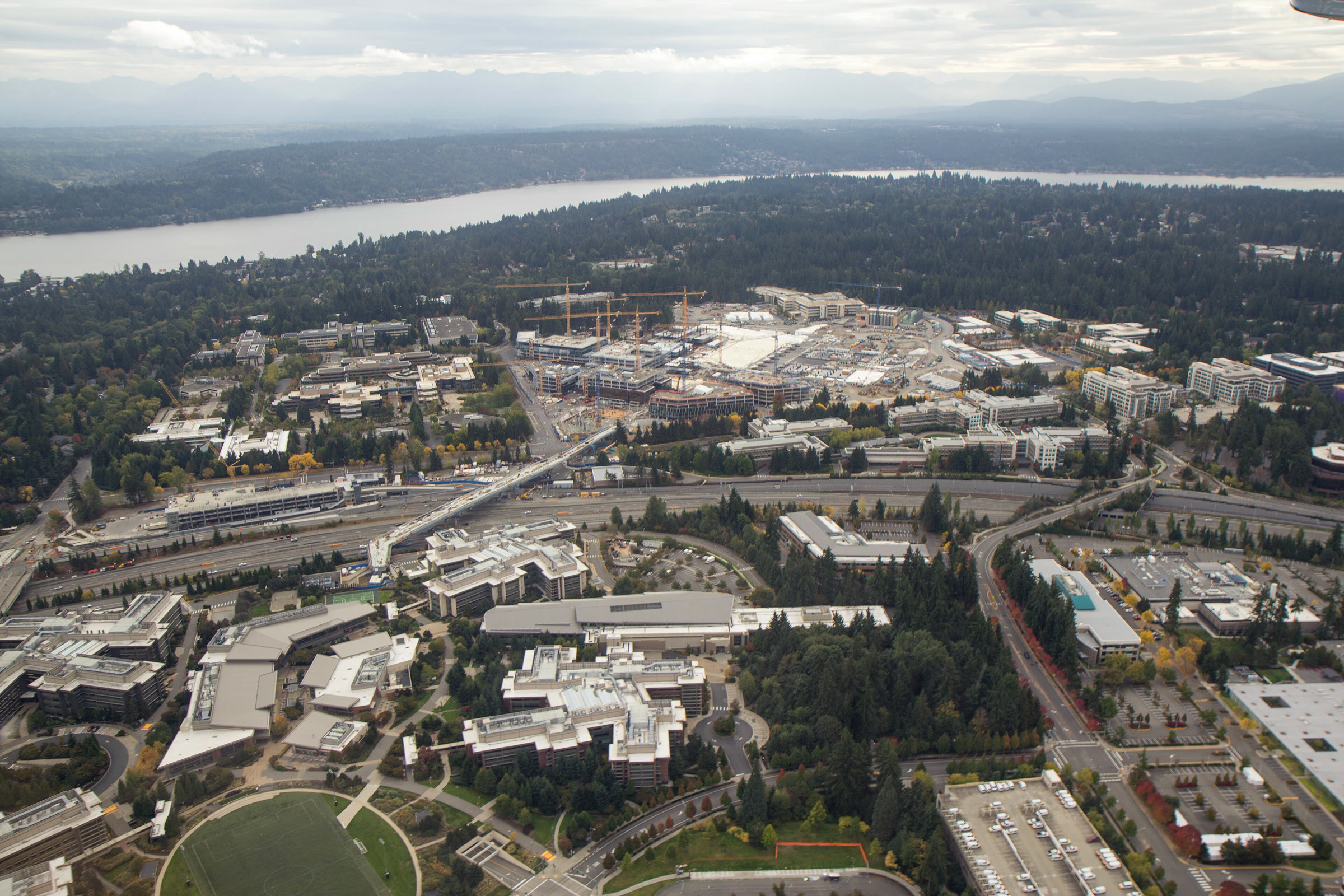 Microsoft'un Redmond'daki kampüsü (arşiv)