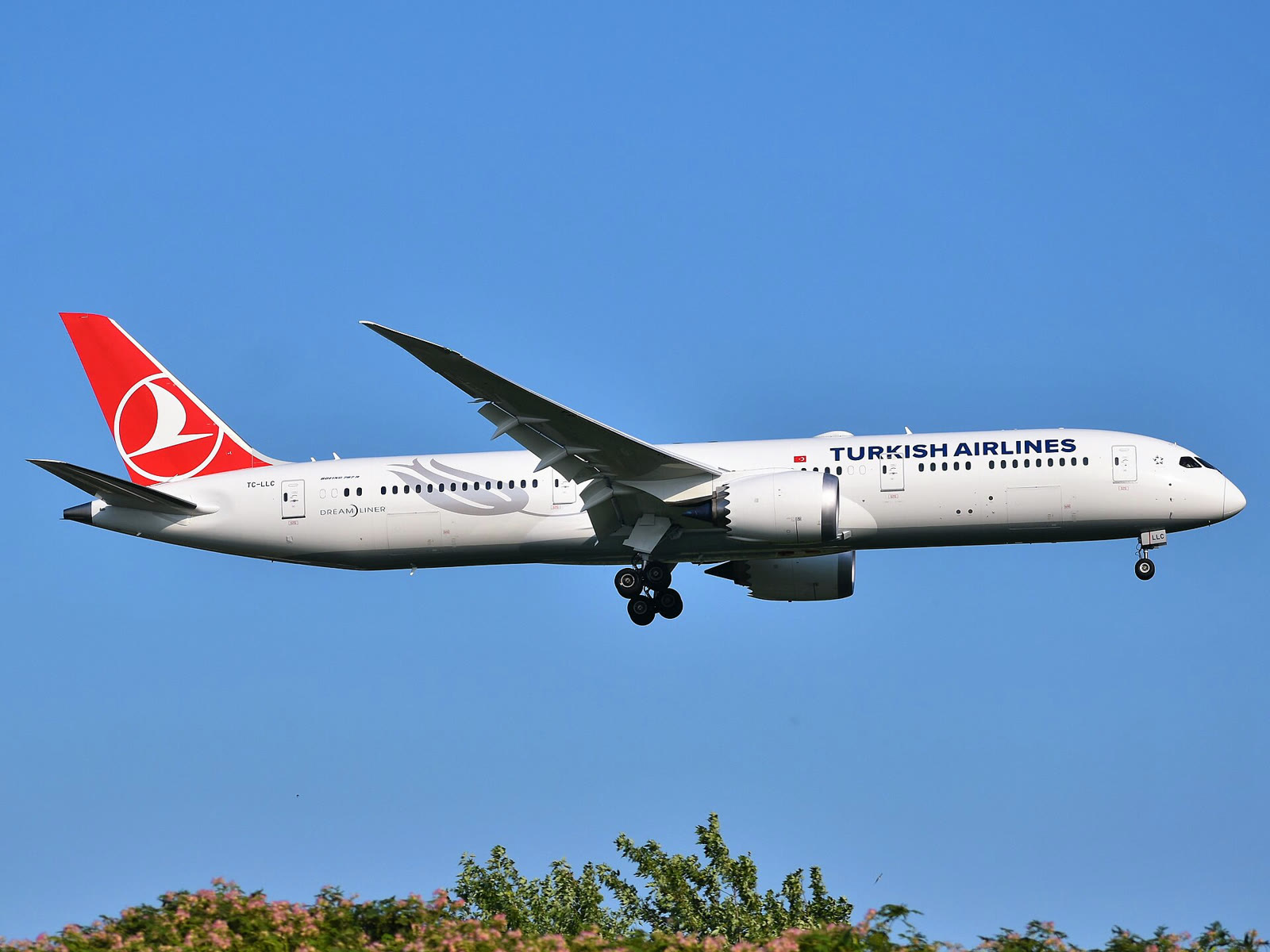 A Turkish Airlines Boeing 787-9 (file photo)