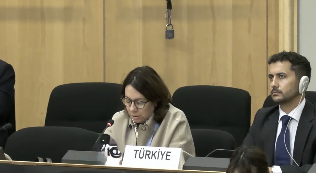 Permanent Representative Ambassador Sözen Usluer delivers a statement