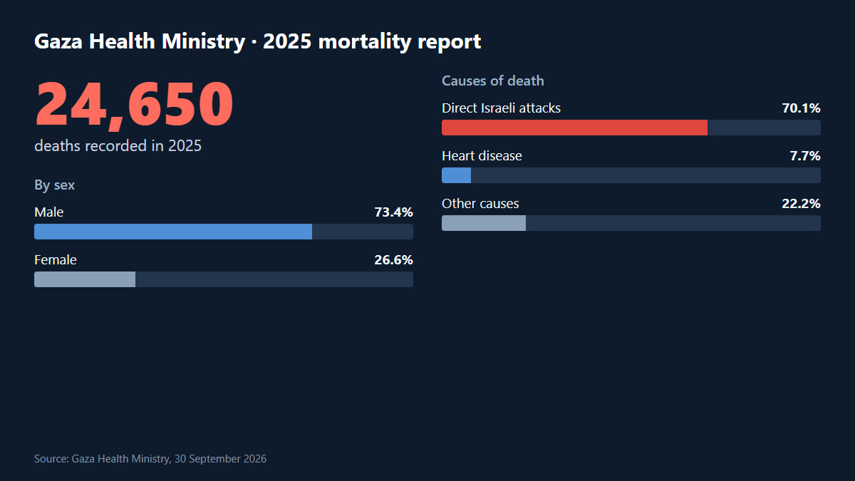 Gaza Health Ministry 2025 mortality report: causes of death and sex