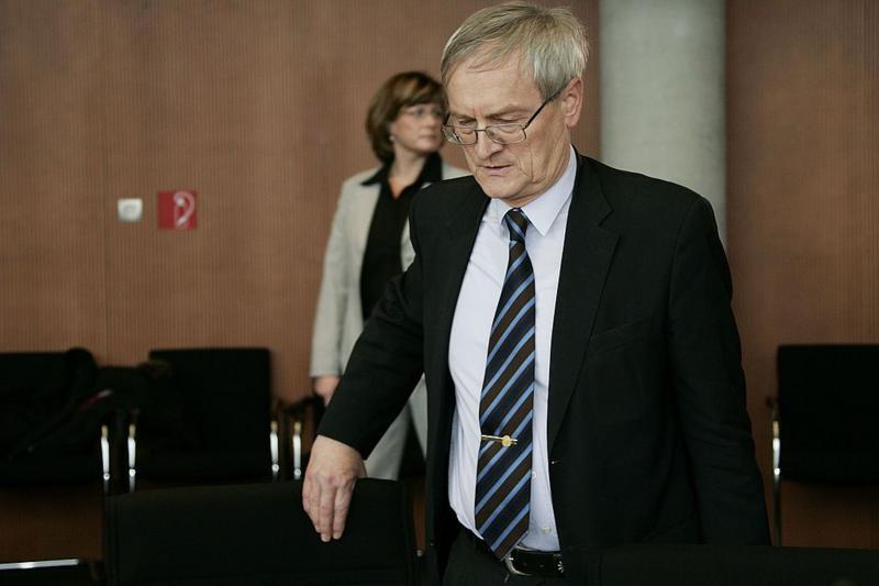 Hanning at a Bundestag hearing on Dec. 4, 2008 (archive)