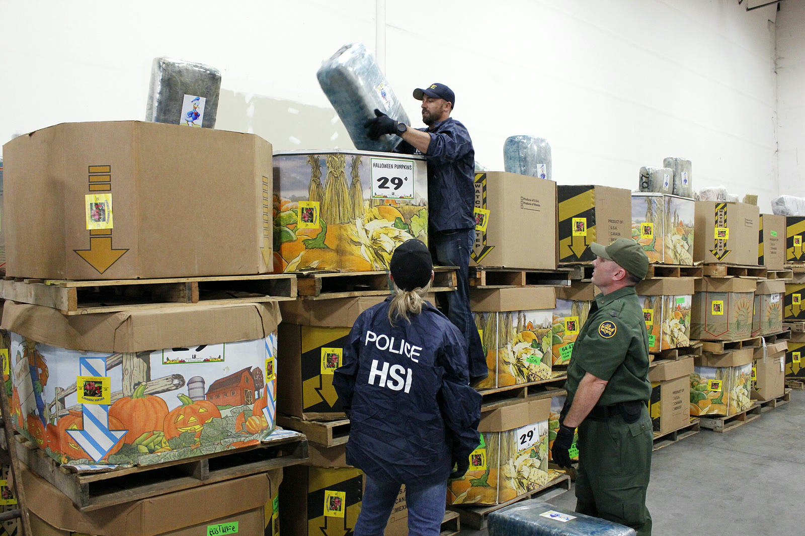 Homeland Security Investigations agents (file photo)