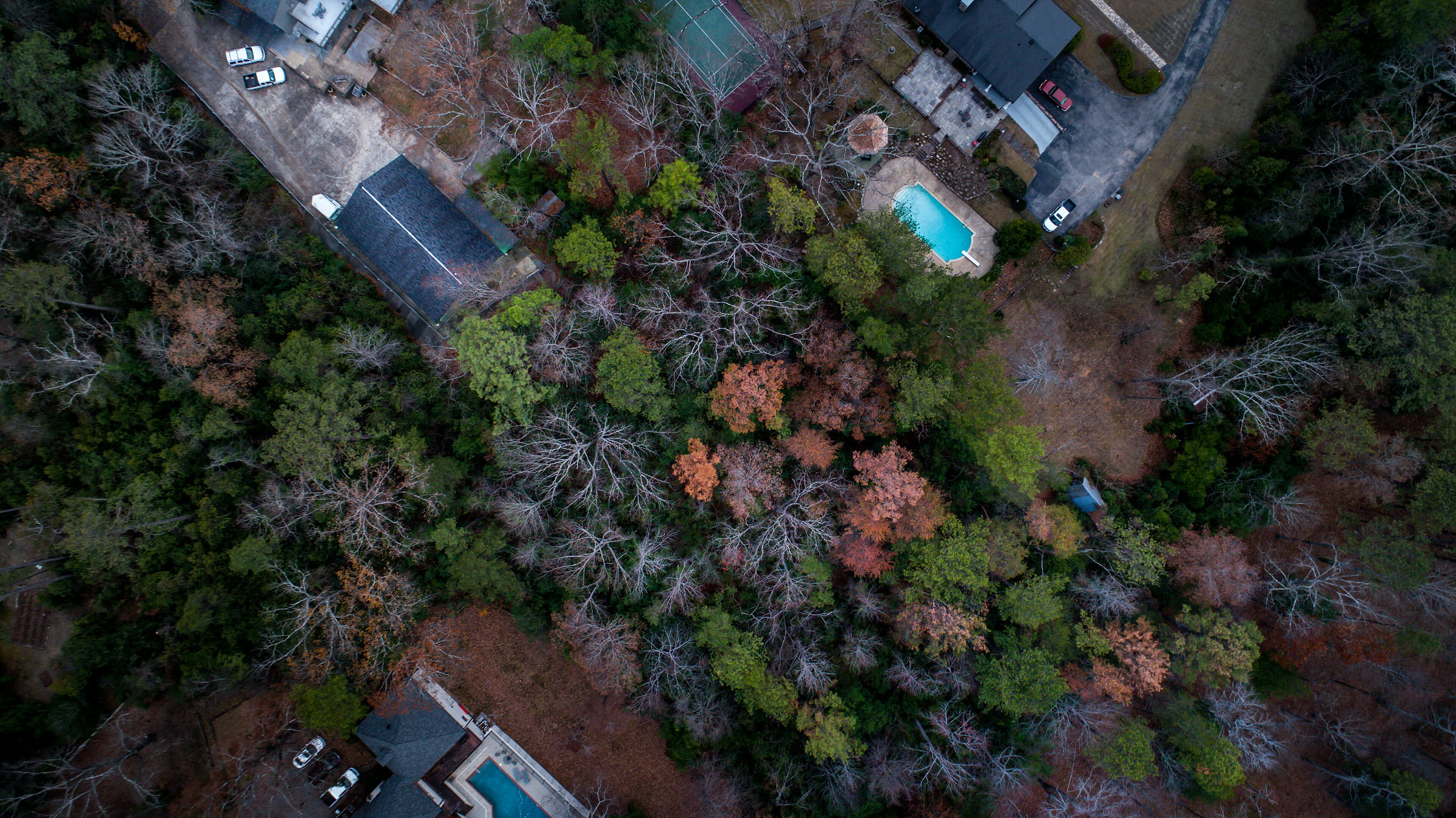 Suburban houses near a forest
