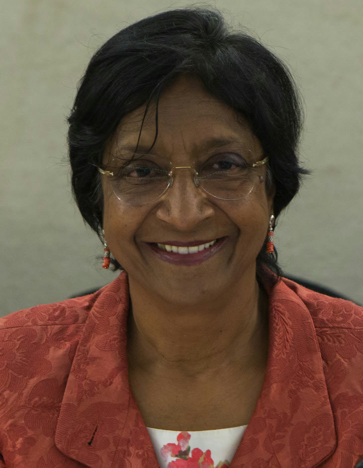 Navi Pillay (2014, arşiv)