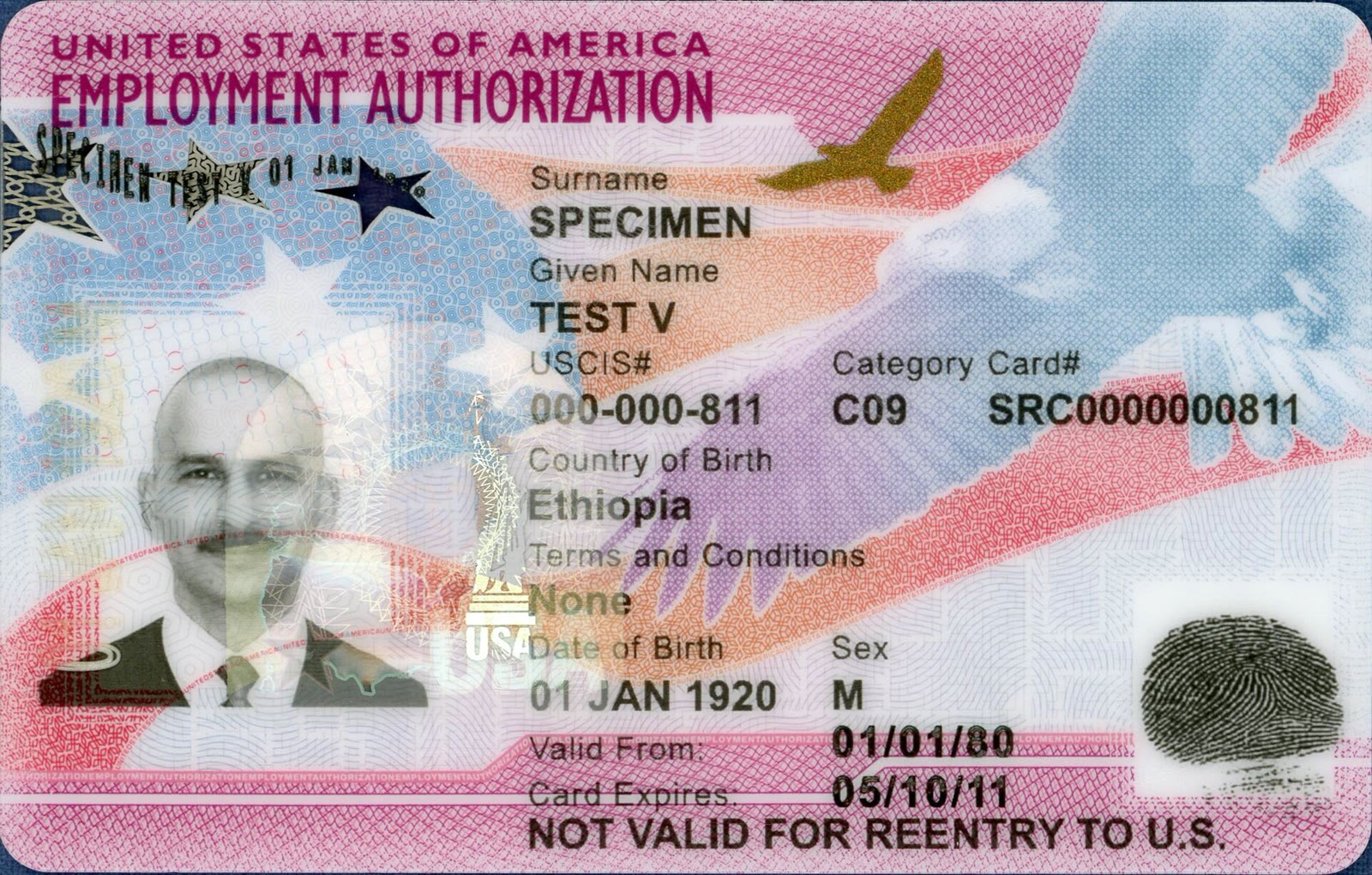 A specimen U.S. Employment Authorization Document (EAD) card