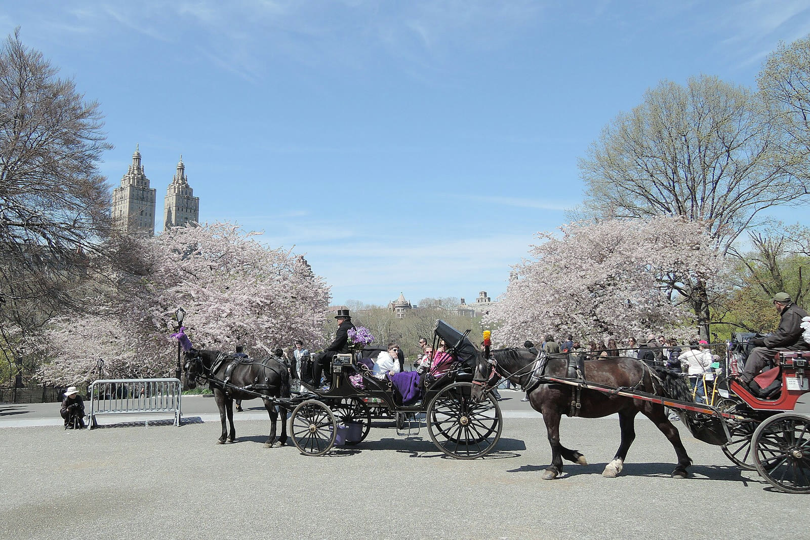 Horse carriages near Cherry Hill in Central Park